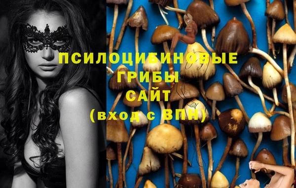 спайс Армянск