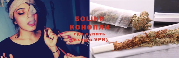 spice Аркадак