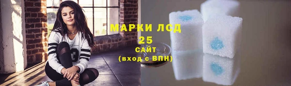 spice Аркадак