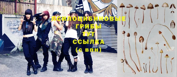 спайс Армянск