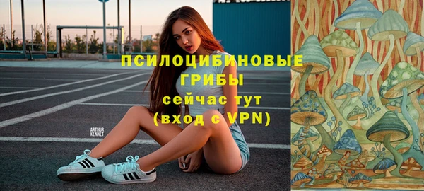 spice Аркадак