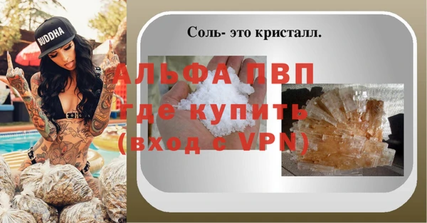 spice Аркадак